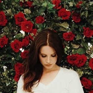 Meet your Posher, Alin